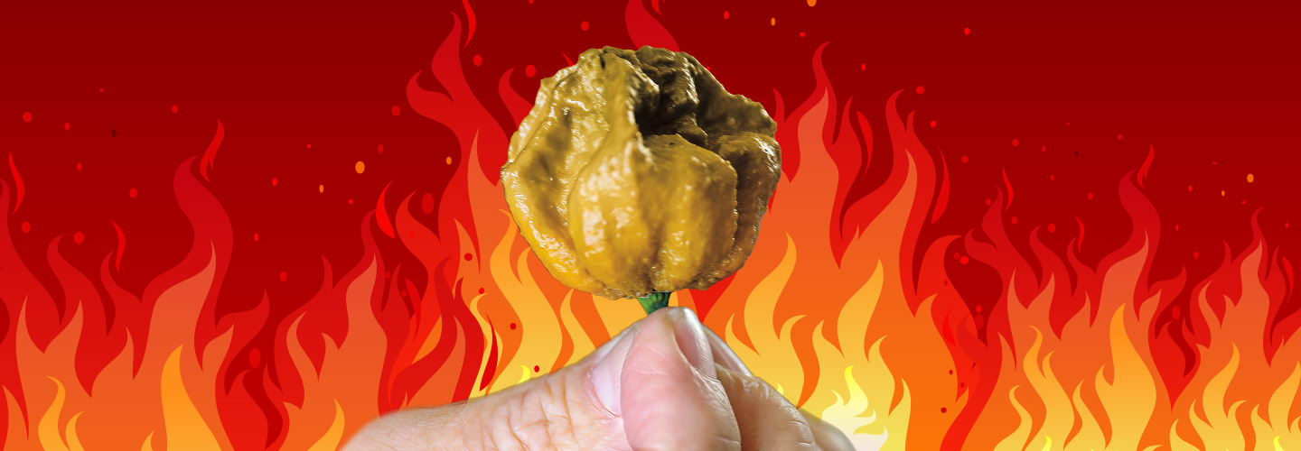 Image of a hand holding up a small hot pepper while flames decorate background